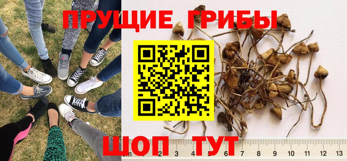 Псилоцибиновые грибы мицелий  Вход с VPN  Полевской 